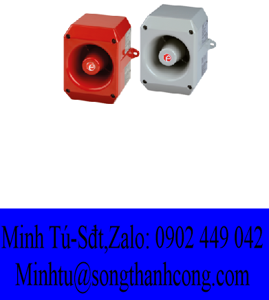 d2xs1-gr-e2xl25-e2xc1x05f-r-beacon-sounder-speaker-alarm-e2s-vietnam-e2s-viet-nam-stc-vietnam.png