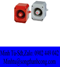 d2xs1-gr-e2xl25-e2xc1x05f-r-beacon-sounder-speaker-alarm-e2s-vietnam-e2s-viet-nam-stc-vietnam.png